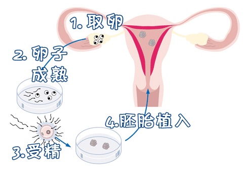 陈主任